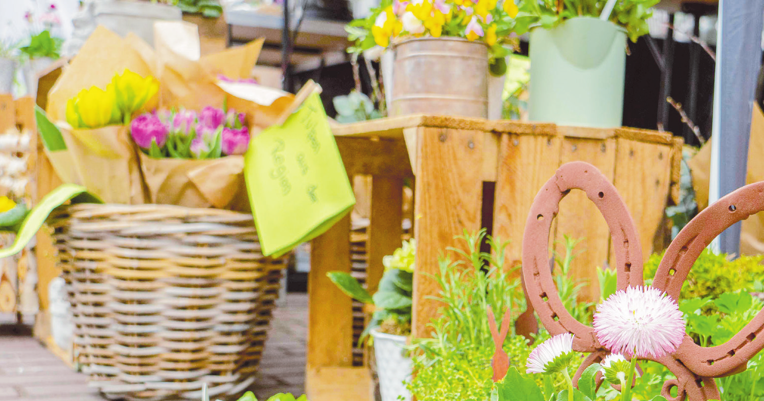 Frühlingsmarkt macht Lust auf die Innenstadt