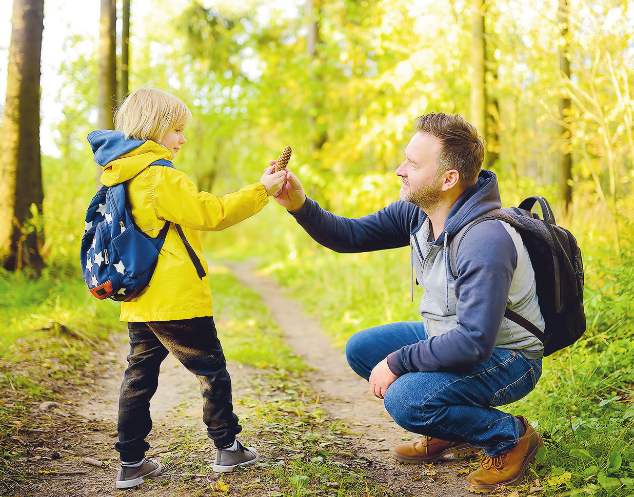 So erleben Sie die Region